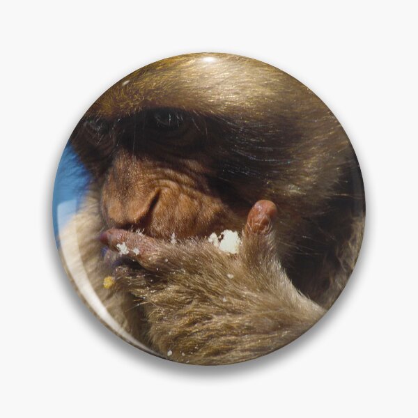 Item preview,  Hungry Barbary macaque designed and sold by purelightimages.