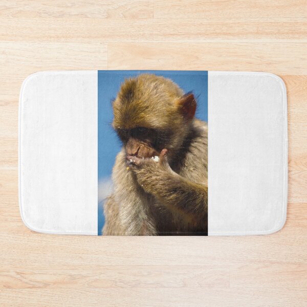 Item preview,  Hungry Barbary macaque designed and sold by purelightimages.