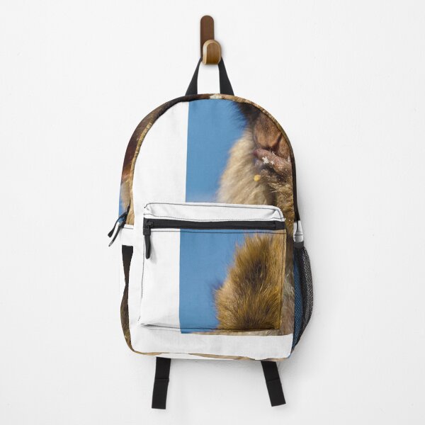 Item preview, Hungry Barbary macaque designed and sold by purelightimages.