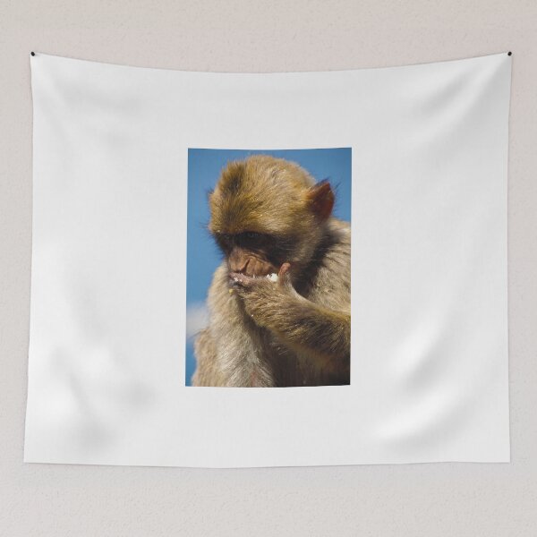 Item preview,  Hungry Barbary macaque designed and sold by purelightimages.