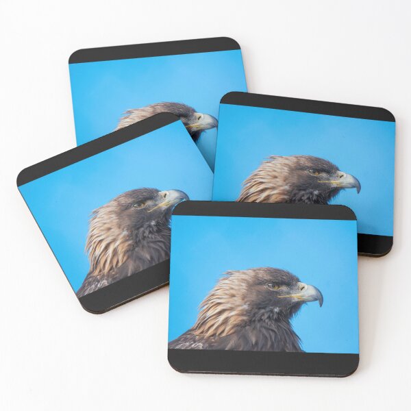Item preview, The Mystical Eagle designed and sold by mymypare13.