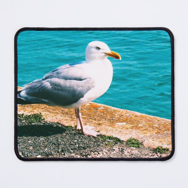 Item preview, Yellow beak designed and sold by ART22.