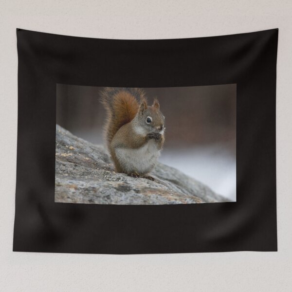 Item preview, The Frozen Squirrel designed and sold by mymypare13.