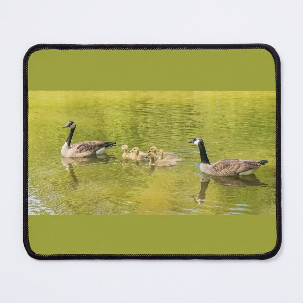 Item preview, Canada Geese and Their Five Baby Goslings designed and sold by LINDA MCKUSICK.