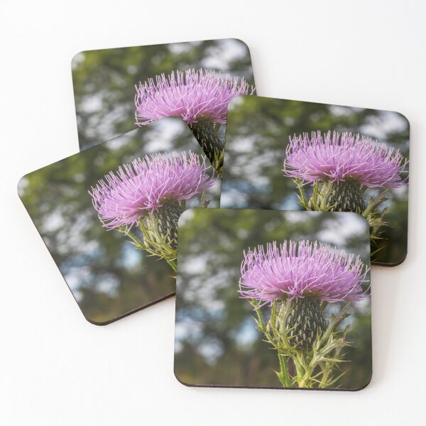 Item preview, Broad-winged Thistle or Spiny Plumeless Thistle designed and sold by LINDA MCKUSICK.