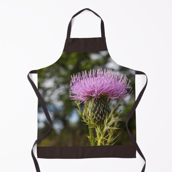 Item preview, Broad-winged Thistle or Spiny Plumeless Thistle designed and sold by LINDA MCKUSICK.