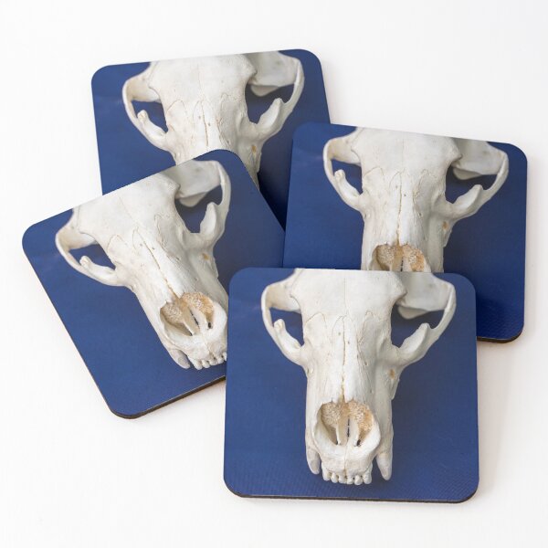 Item preview, Bear Skull designed and sold by LINDA MCKUSICK.