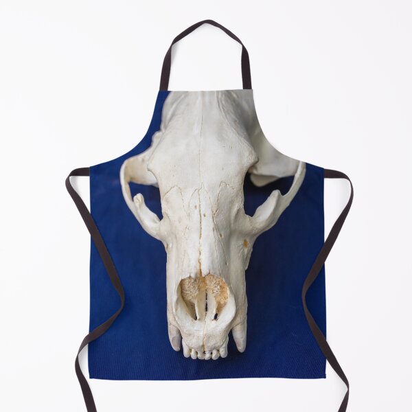 Item preview, Bear Skull designed and sold by LINDA MCKUSICK.