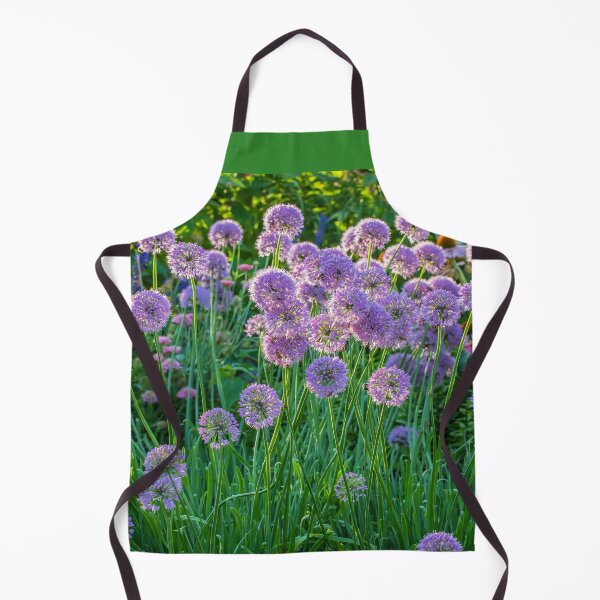 Item preview, Pretty Purple Allium Hollandicum, Persian Onion or Dutch Garlic designed and sold by LINDA MCKUSICK.
