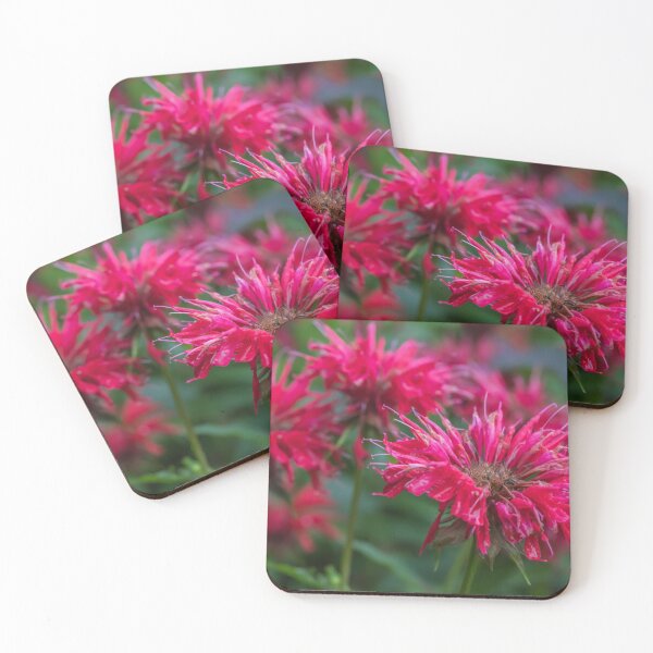 Item preview, Gorgeous Red Bee Balm or Monarda Blossoms designed and sold by LINDA MCKUSICK.