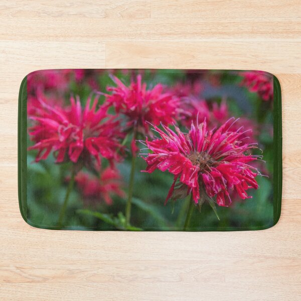 Item preview, Gorgeous Red Bee Balm or Monarda Blossoms designed and sold by LINDA MCKUSICK.