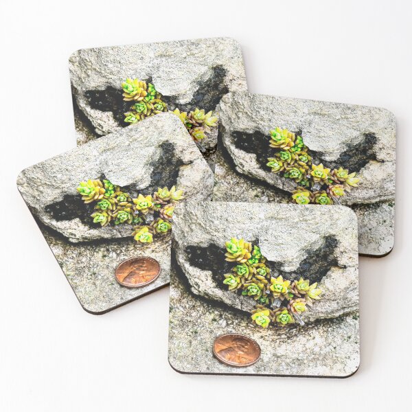Item preview, Tiny Succulent designed and sold by Creative by Nature.