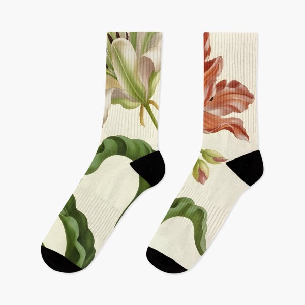 Item preview, Antique Lily Botanical Print designed and sold by Fullspace.