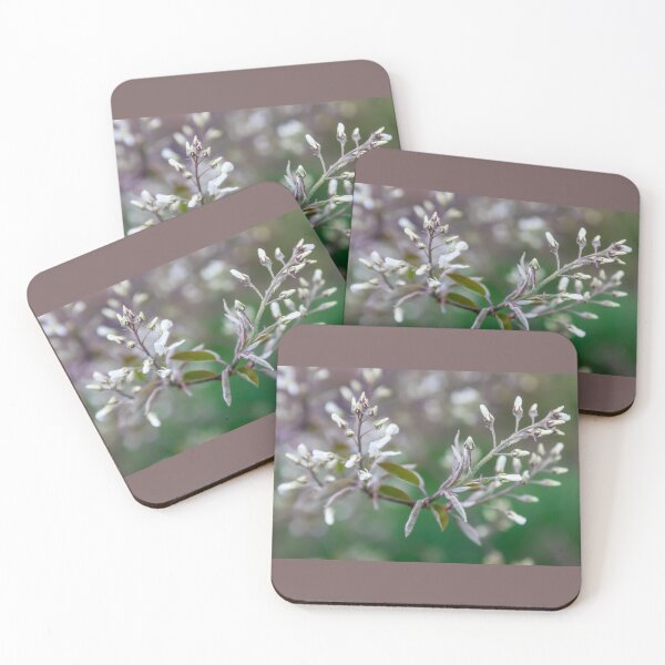 Item preview, Budding Blossoms on a Common Serviceberry Tree designed and sold by LINDA MCKUSICK.