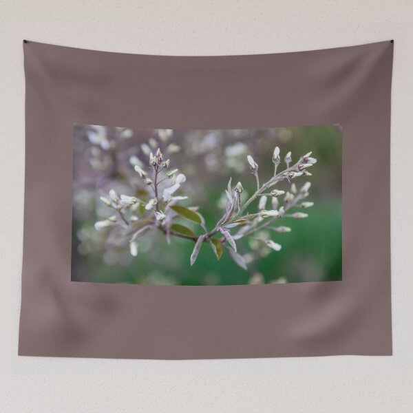 Item preview, Budding Blossoms on a Common Serviceberry Tree designed and sold by LINDA MCKUSICK.