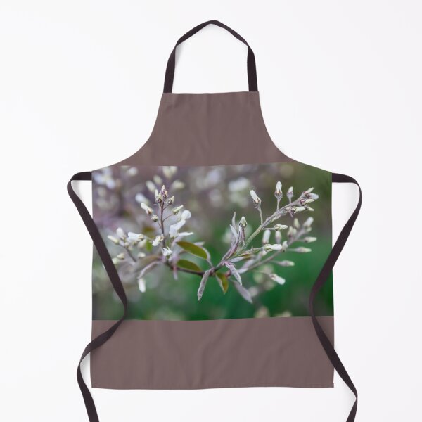 Item preview, Budding Blossoms on a Common Serviceberry Tree designed and sold by LINDA MCKUSICK.