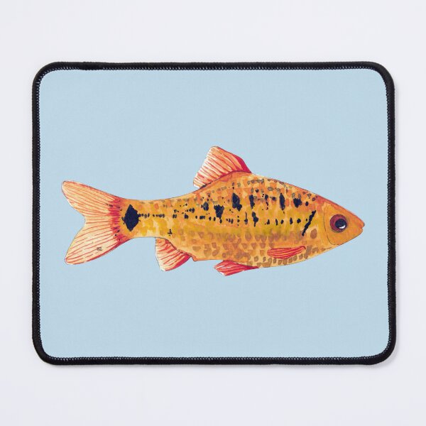 Item preview, GOLDEN BARB-Barbodes semifasciolatus designed and sold by BEATRIZ ABAITUA.