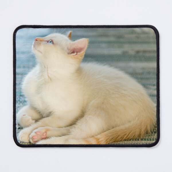 Item preview, Light Orange Tabby kitten  designed and sold by Roxane Bay.