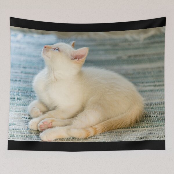 Item preview, Light Orange Tabby kitten  designed and sold by Roxane Bay.