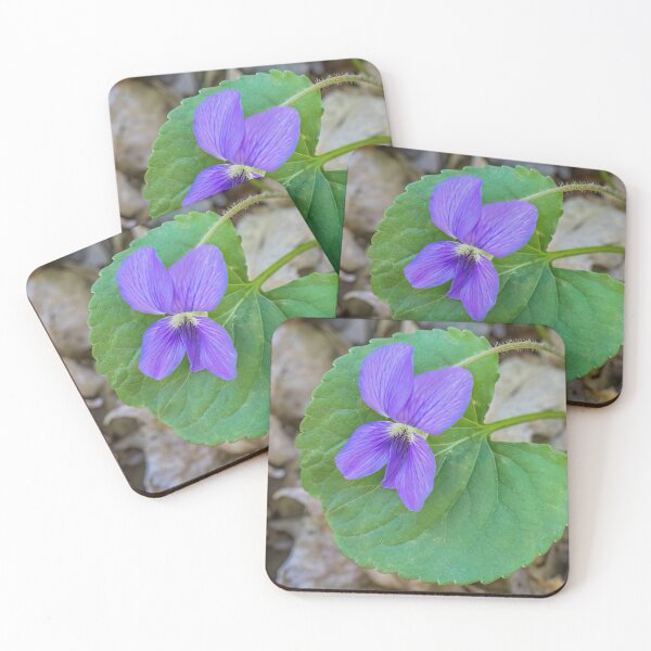 Item preview, Common Blue Violet or Wood Violet, Viola Sororia, in Full Bloom on a May Spring Day designed and sold by LINDA MCKUSICK.