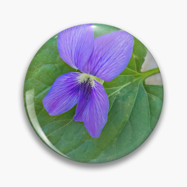 Item preview, Common Blue Violet or Wood Violet, Viola Sororia, in Full Bloom on a May Spring Day designed and sold by LINDA MCKUSICK.