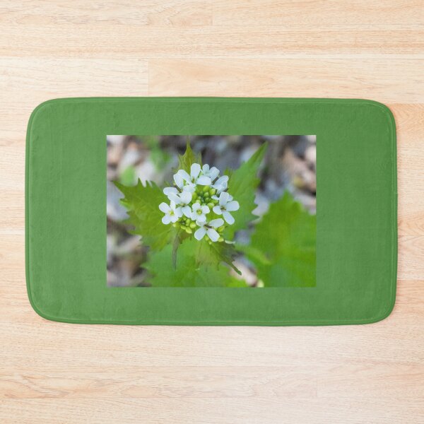Item preview, Garlic Mustard, a Biennial Flowering Plant Blooming on a May Spring Day designed and sold by LINDA MCKUSICK.