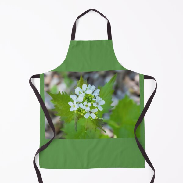 Item preview, Garlic Mustard, a Biennial Flowering Plant Blooming on a May Spring Day designed and sold by LINDA MCKUSICK.