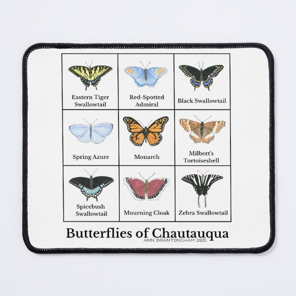 Item preview, Butterflies of Chautauqua designed and sold by Ann Brantingham -- Nature Art.