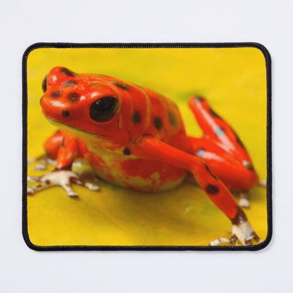 Item preview, Pretty yet Deadly designed and sold by purelightimages.