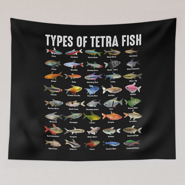 Item preview, Types of Tetra Fish - Tetras Aquarium Fish Species Lover designed and sold by NUMAcreations.