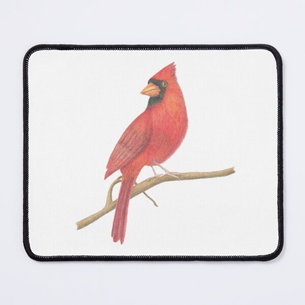 Item preview, Northern Cardinal drawing designed and sold by Ann Brantingham -- Nature Art.