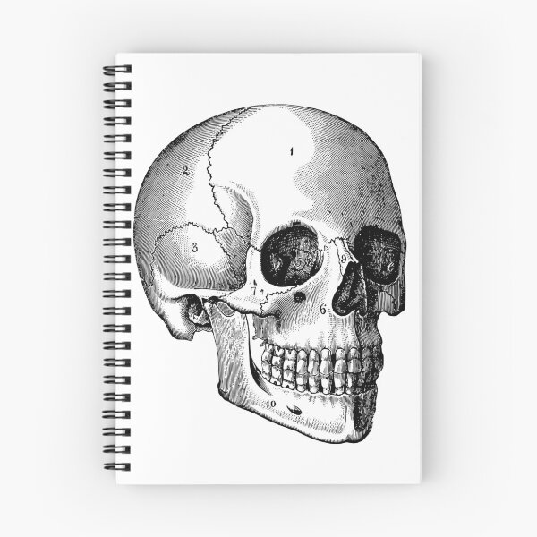 Item preview, halloween scull designed and sold by Agape88.