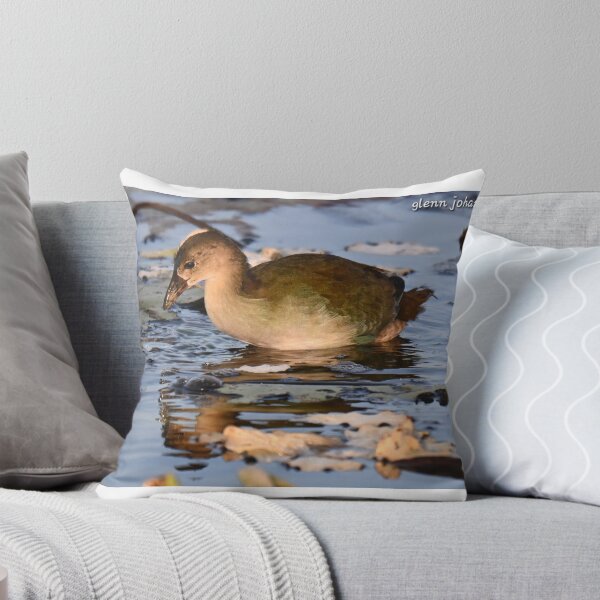 Item preview, Juvenile Purple Gallinule  designed and sold by Glennphotos.