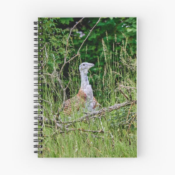 Item preview, Great Bustard designed and sold by Eidetic Photos.