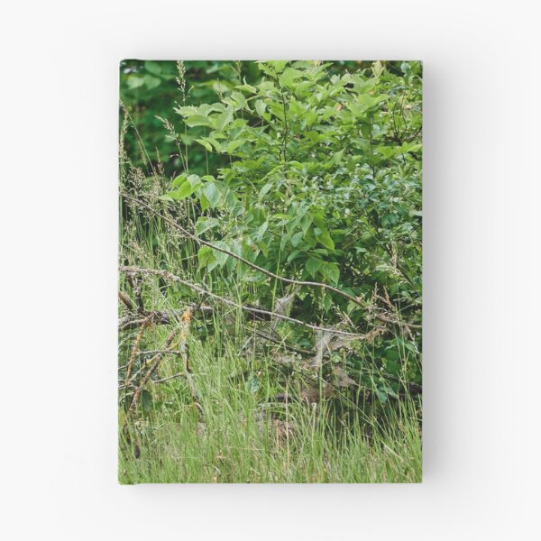 Item preview, Great Bustard designed and sold by Eidetic Photos.