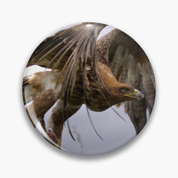 Item preview, Tawny Eagle with Rabbits Foot - Rising to the Heavens designed and sold by PixSL Photography and Photo Art.