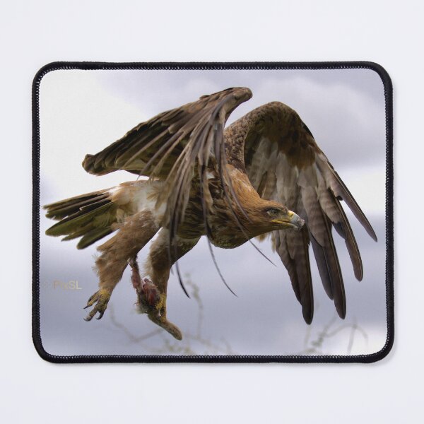 Item preview, Tawny Eagle with Rabbits Foot - Rising to the Heavens designed and sold by PixSL Photography and Photo Art.