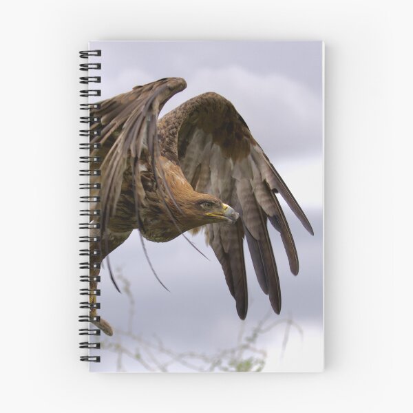 Item preview, Tawny Eagle with Rabbits Foot - Rising to the Heavens designed and sold by PixSL Photography and Photo Art.