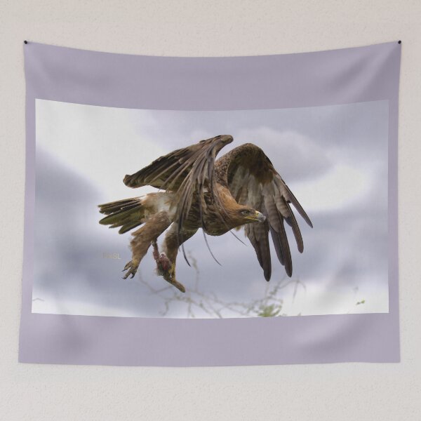 Item preview, Tawny Eagle with Rabbits Foot - Rising to the Heavens designed and sold by PixSL Photography and Photo Art.
