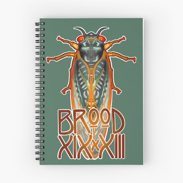 Item preview, Cicada Brood XIX x XIII with White Outline designed and sold by RJKpoyp.