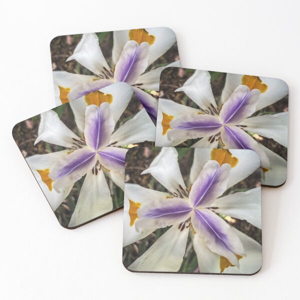 Item preview, Fortnight Lily in the Garden designed and sold by Douglas E. Welch Design and Photography.