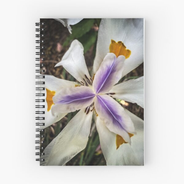 Item preview, Fortnight Lily in the Garden designed and sold by Douglas E. Welch Design and Photography.