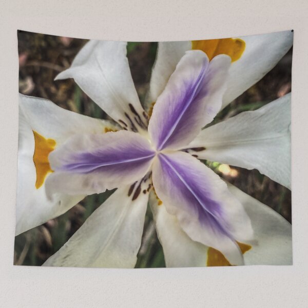 Item preview, Fortnight Lily in the Garden designed and sold by Douglas E. Welch Design and Photography.