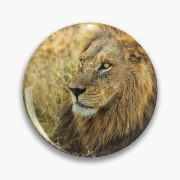 Item preview, The Mighty Lion Has Fallen designed and sold by Kay Brewer.