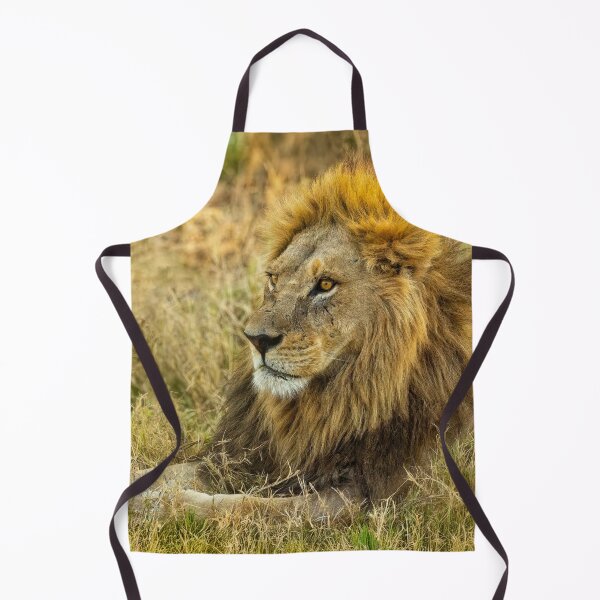 Item preview, The Mighty Lion Has Fallen designed and sold by Kay Brewer.