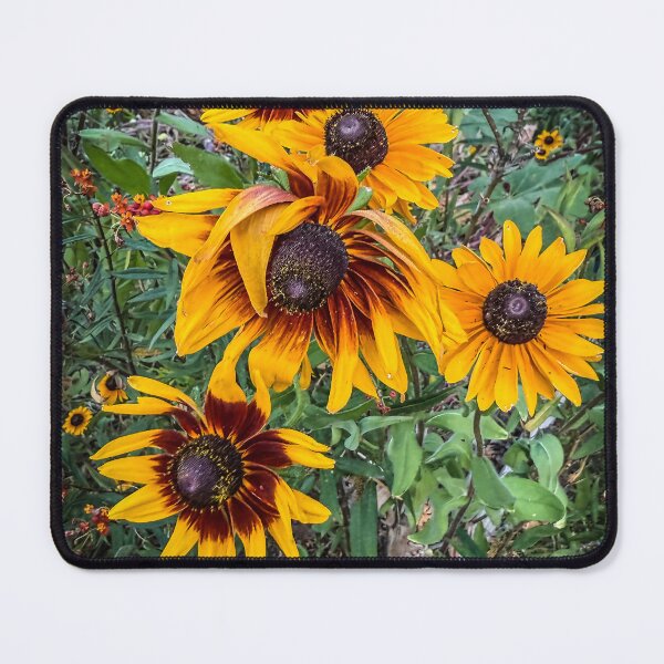 Item preview, Rudbeckia Flowers  designed and sold by Douglas E. Welch Design and Photography.