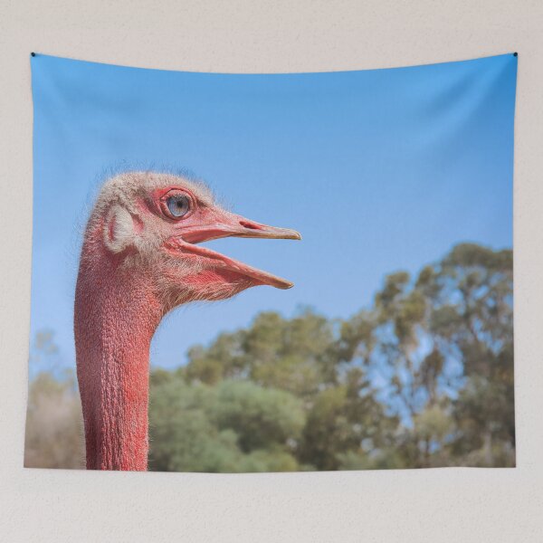 Item preview, Ostrich Side Portrait – African Wildlife Photography designed and sold by RastislavS.