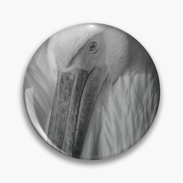 Item preview, Pelican Portrait in Black and White – Wildlife Fine Art Photography designed and sold by RastislavS.