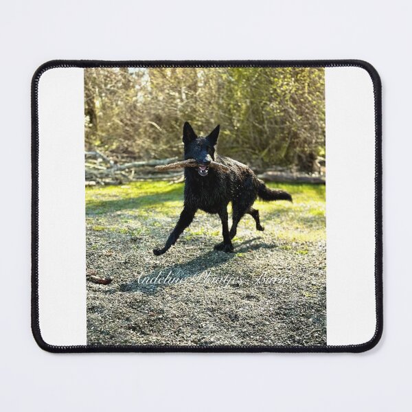 Item preview, Black German Shepherd designed and sold by Working Super Bee.