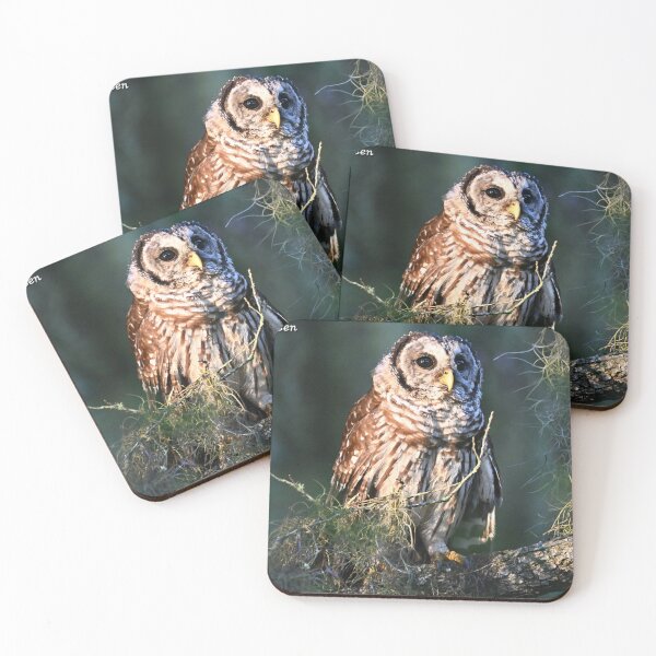 Item preview, Barred Owl  designed and sold by Glennphotos.